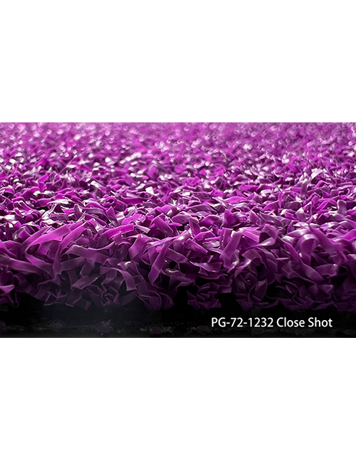PG-72-1232 room scene 1