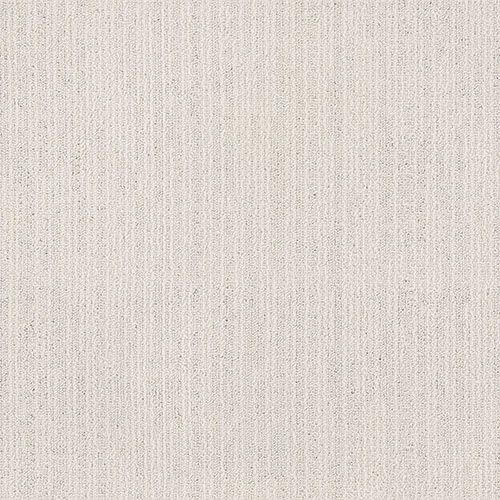 16300 MACARON colour 16308