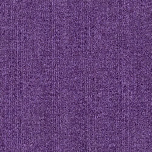 16300 MACARON colour 16342