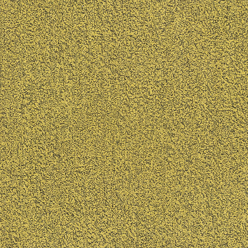 16800 BEYOND colour 16816C