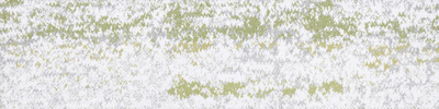 17800 MOSS colour 17802E
