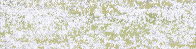 17800 MOSS colour 17802F