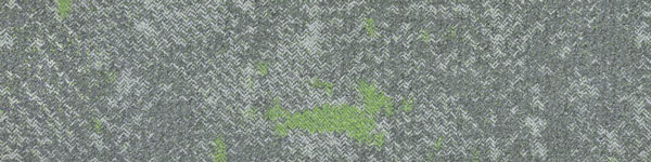19500-19800 CURVE colour 19503B