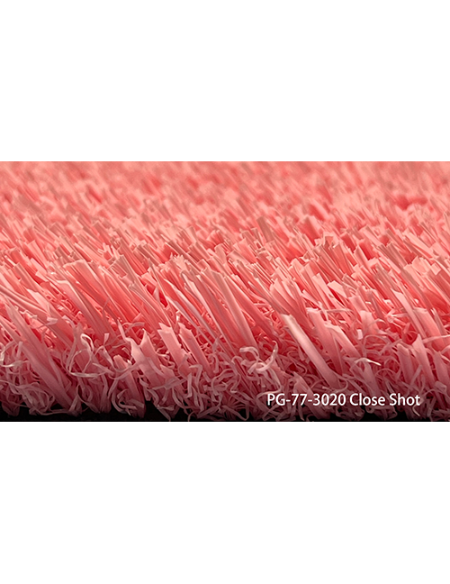 PG-77-3020 room scene 1