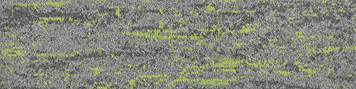 86800 NEVERLAND colour 86801C